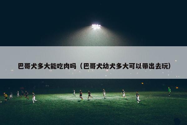 巴哥犬多大能吃肉吗（巴哥犬幼犬多大可以带出去玩）