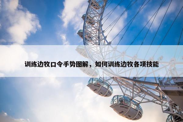 训练边牧口令手势图解，如何训练边牧各项技能