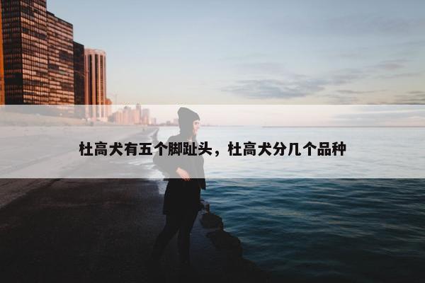 杜高犬有五个脚趾头，杜高犬分几个品种