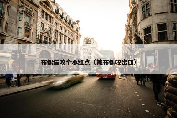 布偶猫咬个小红点（被布偶咬出血）