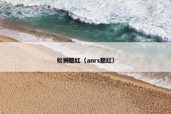 松狮腮红（anrs腮红）