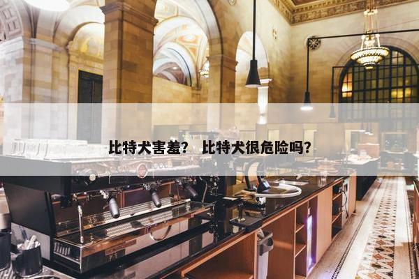 比特犬害羞？ 比特犬很危险吗？