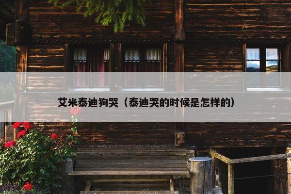 艾米泰迪狗哭（泰迪哭的时候是怎样的）