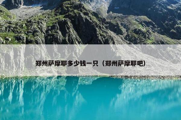郑州萨摩耶多少钱一只（郑州萨摩耶吧）