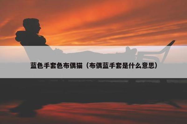 蓝色手套色布偶猫（布偶蓝手套是什么意思）