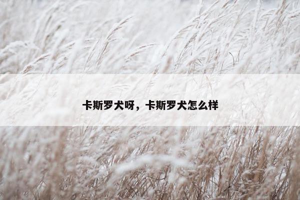 卡斯罗犬呀，卡斯罗犬怎么样