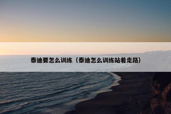 泰迪要怎么训练（泰迪怎么训练站着走路）