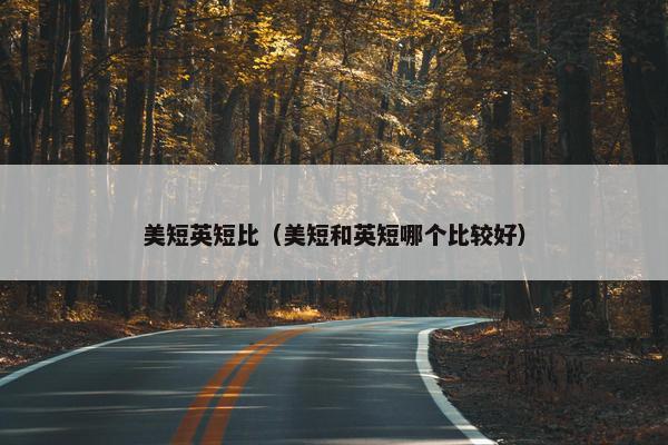 美短英短比（美短和英短哪个比较好）