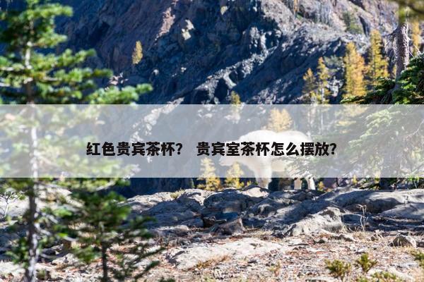 红色贵宾茶杯？ 贵宾室茶杯怎么摆放？
