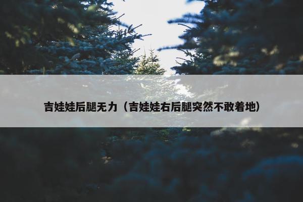 吉娃娃后腿无力（吉娃娃右后腿突然不敢着地）