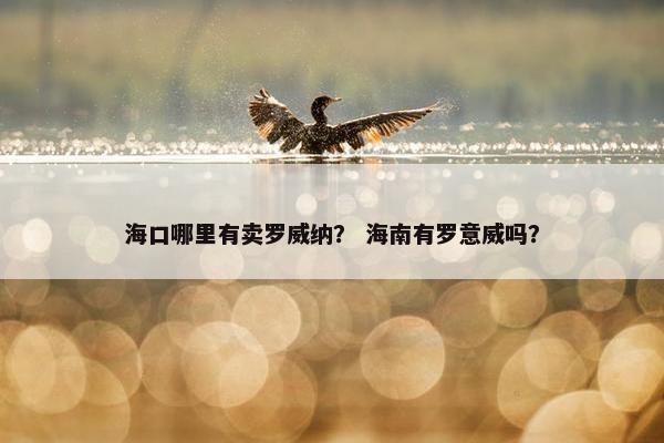 海口哪里有卖罗威纳？ 海南有罗意威吗？