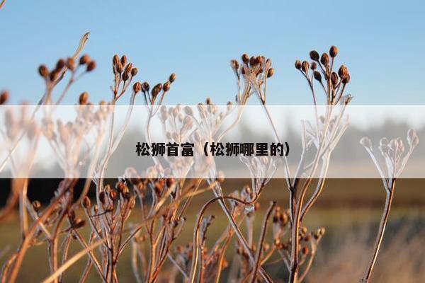 松狮首富（松狮哪里的）