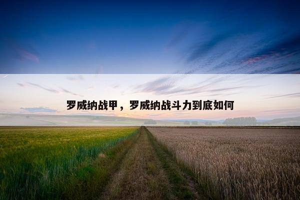 罗威纳战甲，罗威纳战斗力到底如何