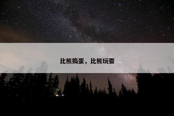 比熊捣蛋，比熊玩耍