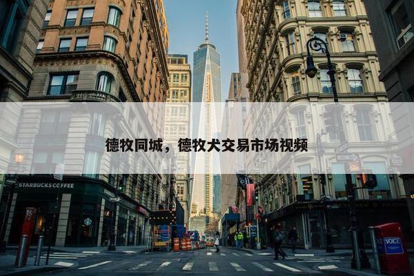 德牧同城，德牧犬交易市场视频