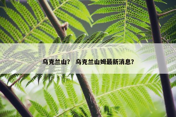 乌克兰山？ 乌克兰山姆最新消息？