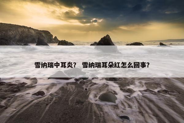 雪纳瑞中耳炎？ 雪纳瑞耳朵红怎么回事？