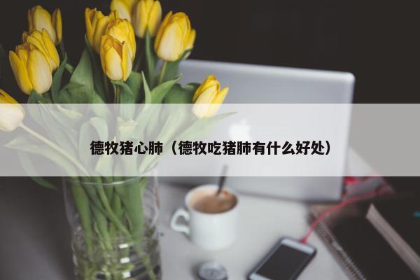 德牧猪心肺（德牧吃猪肺有什么好处）