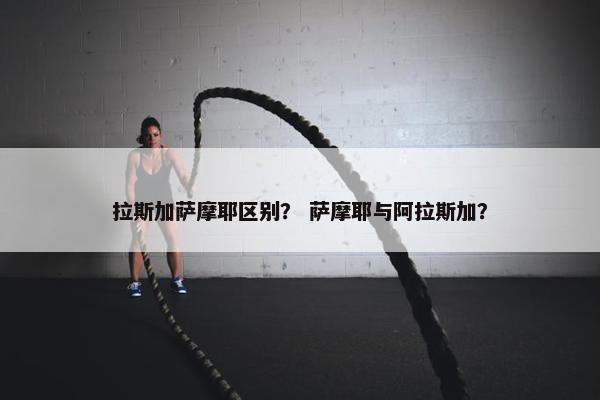 拉斯加萨摩耶区别？ 萨摩耶与阿拉斯加？