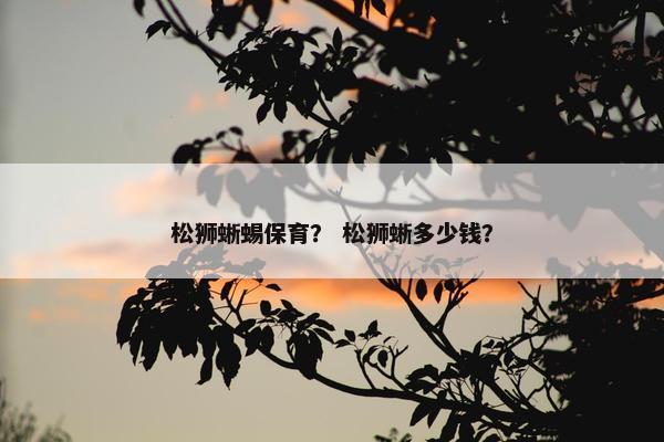 松狮蜥蜴保育？ 松狮蜥多少钱？
