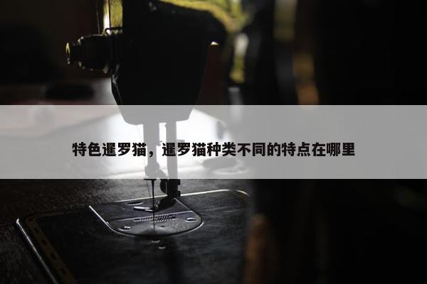 特色暹罗猫，暹罗猫种类不同的特点在哪里