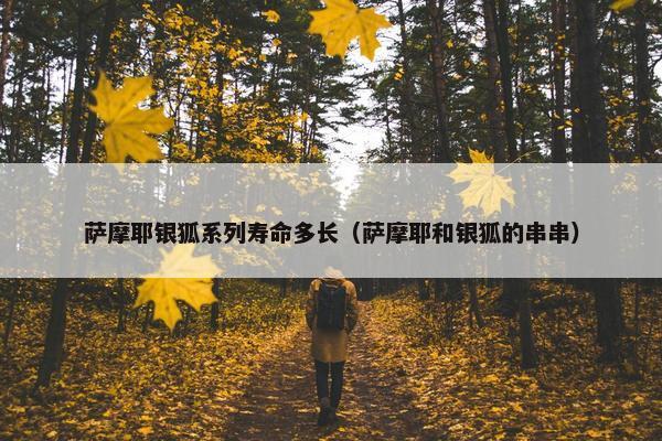 萨摩耶银狐系列寿命多长（萨摩耶和银狐的串串）