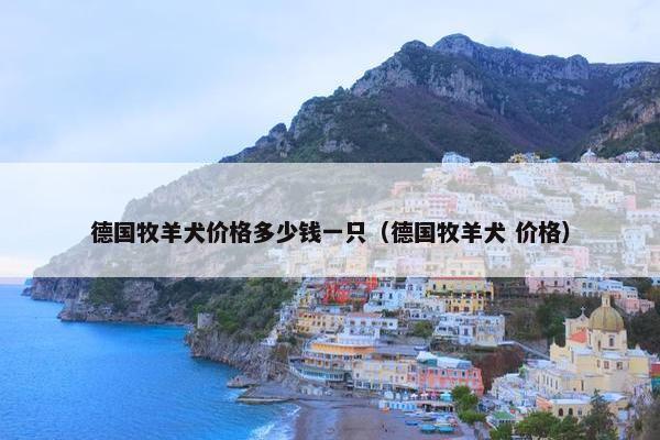 德国牧羊犬价格多少钱一只（德国牧羊犬 价格）