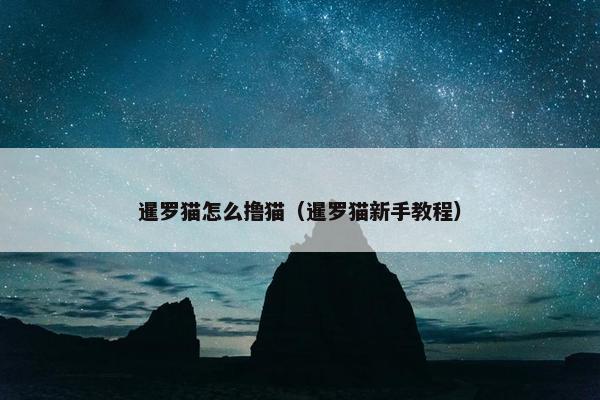 暹罗猫怎么撸猫（暹罗猫新手教程）