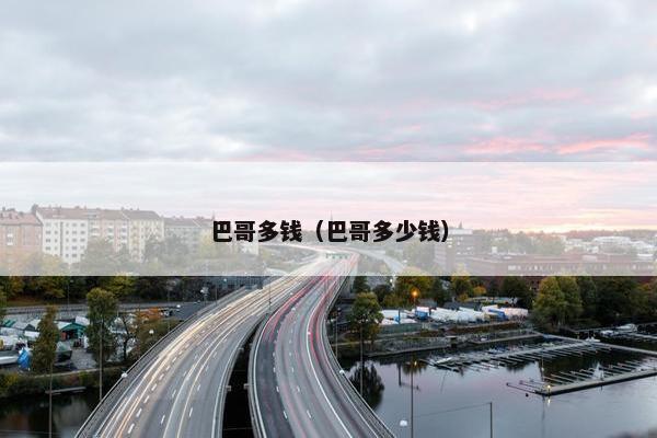 巴哥多钱（巴哥多少钱）