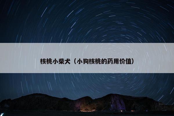 核桃小柴犬（小狗核桃的药用价值）