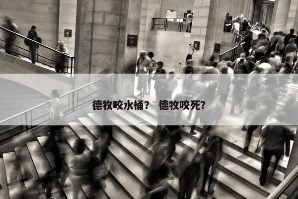 德牧咬水桶？ 德牧咬死？