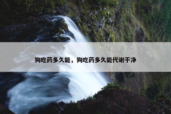 狗吃药多久能，狗吃药多久能代谢干净