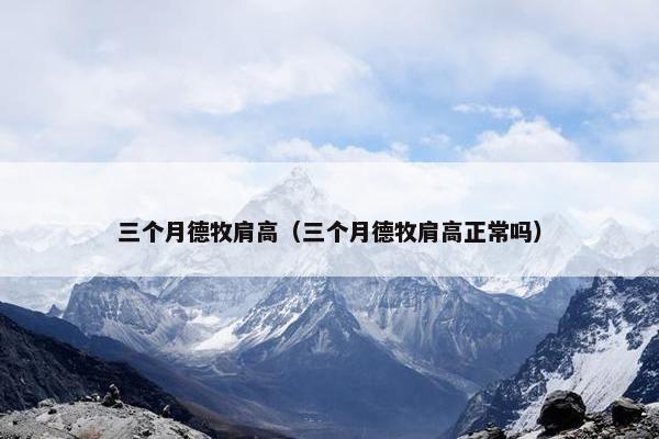 三个月德牧肩高（三个月德牧肩高正常吗）