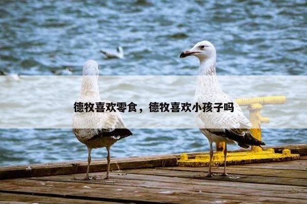 德牧喜欢零食，德牧喜欢小孩子吗