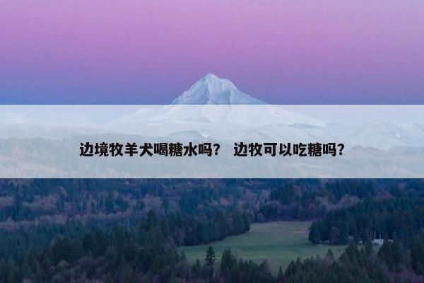 边境牧羊犬喝糖水吗？ 边牧可以吃糖吗？