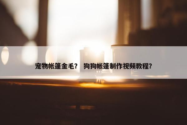 宠物帐篷金毛？ 狗狗帐篷制作视频教程？