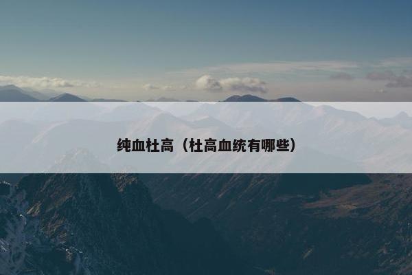 纯血杜高（杜高血统有哪些）