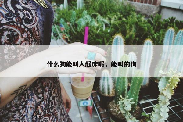 什么狗能叫人起床呢，能叫的狗