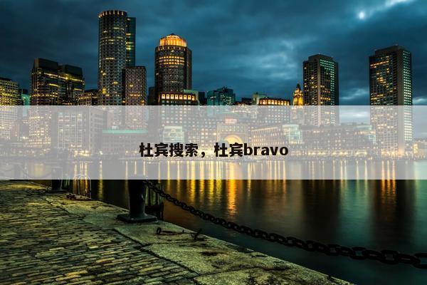 杜宾搜索，杜宾bravo