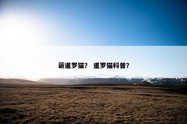 萌暹罗猫？ 暹罗猫科普？