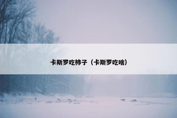 卡斯罗吃柿子（卡斯罗吃啥）