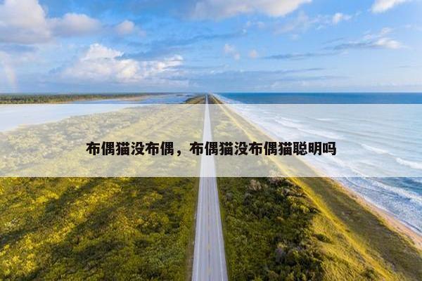 布偶猫没布偶，布偶猫没布偶猫聪明吗