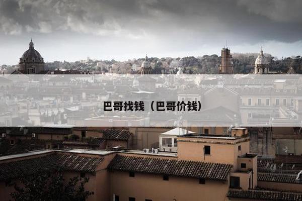 巴哥找钱（巴哥价钱）