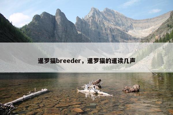 暹罗猫breeder，暹罗猫的暹读几声