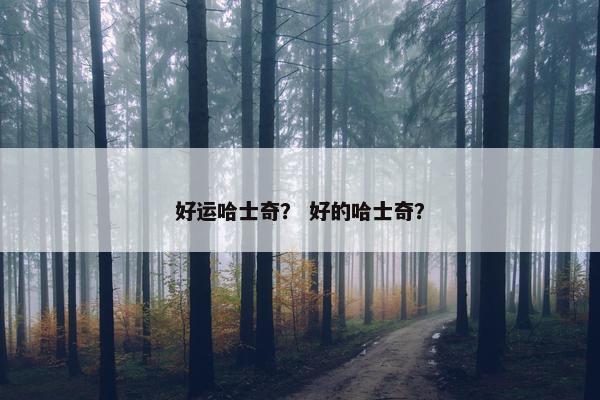 好运哈士奇？ 好的哈士奇？