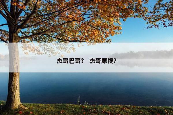 杰哥巴哥？ 杰哥原视？