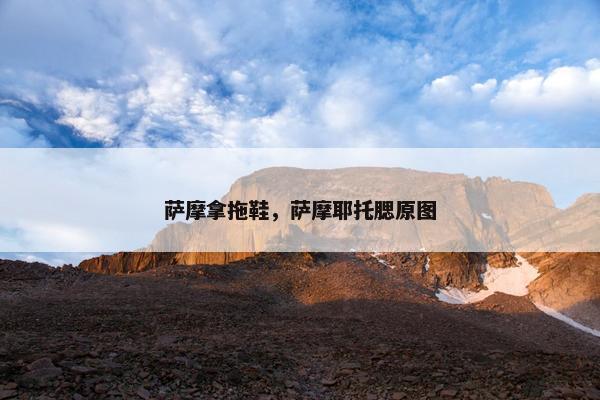萨摩拿拖鞋，萨摩耶托腮原图
