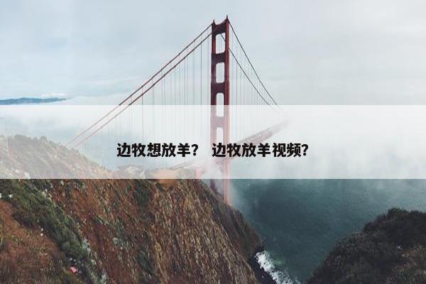 边牧想放羊？ 边牧放羊视频？