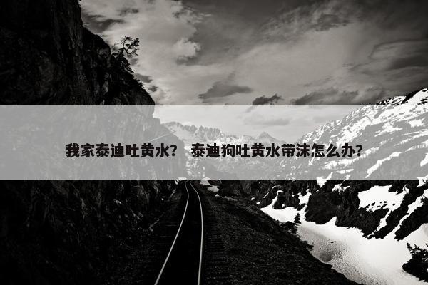 我家泰迪吐黄水？ 泰迪狗吐黄水带沫怎么办？