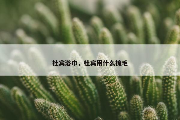 杜宾浴巾，杜宾用什么梳毛